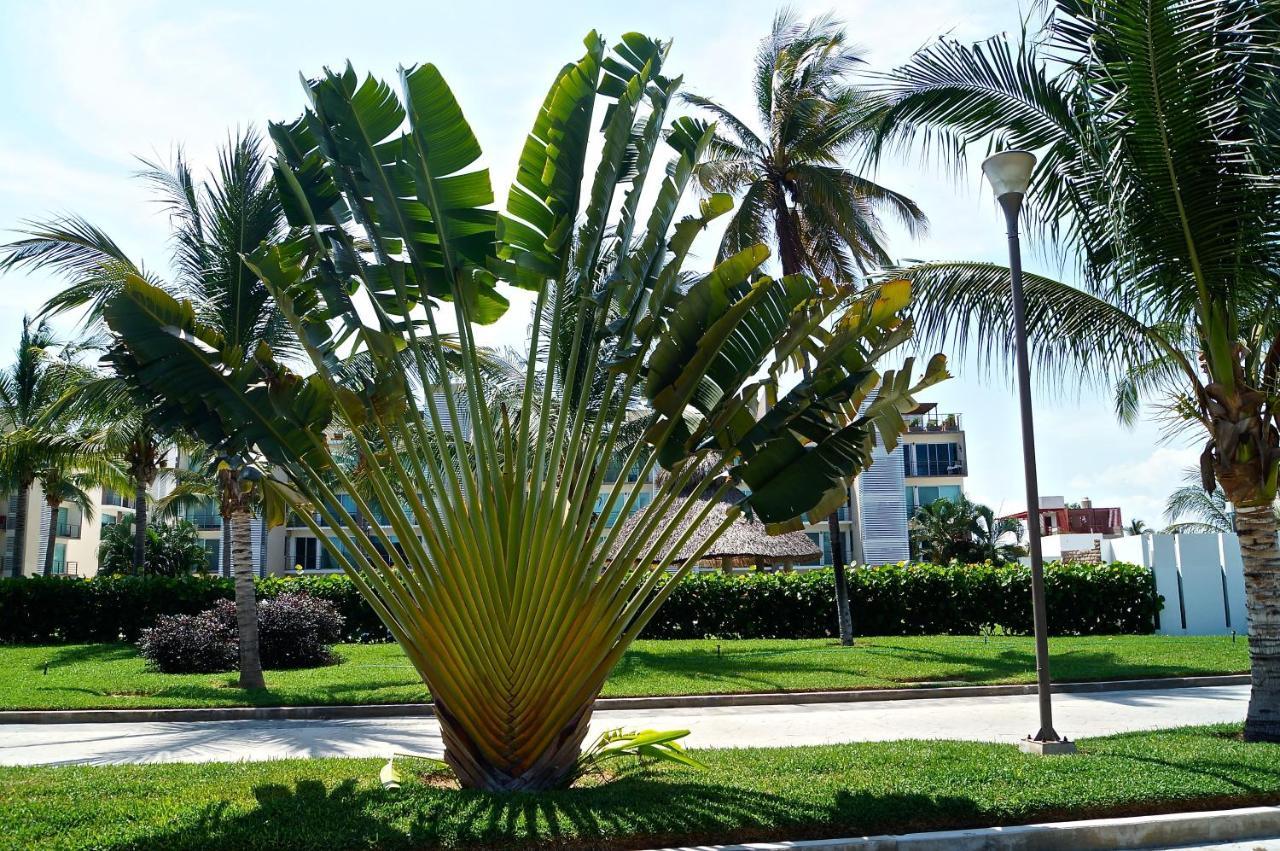 Ferienwohnung Penthouse Con Jacuzzi En Acapulco Diamante Exterior foto